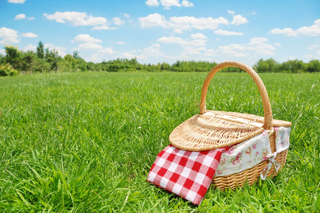 The Perfect Mouth Healthy Picnic for Your Family